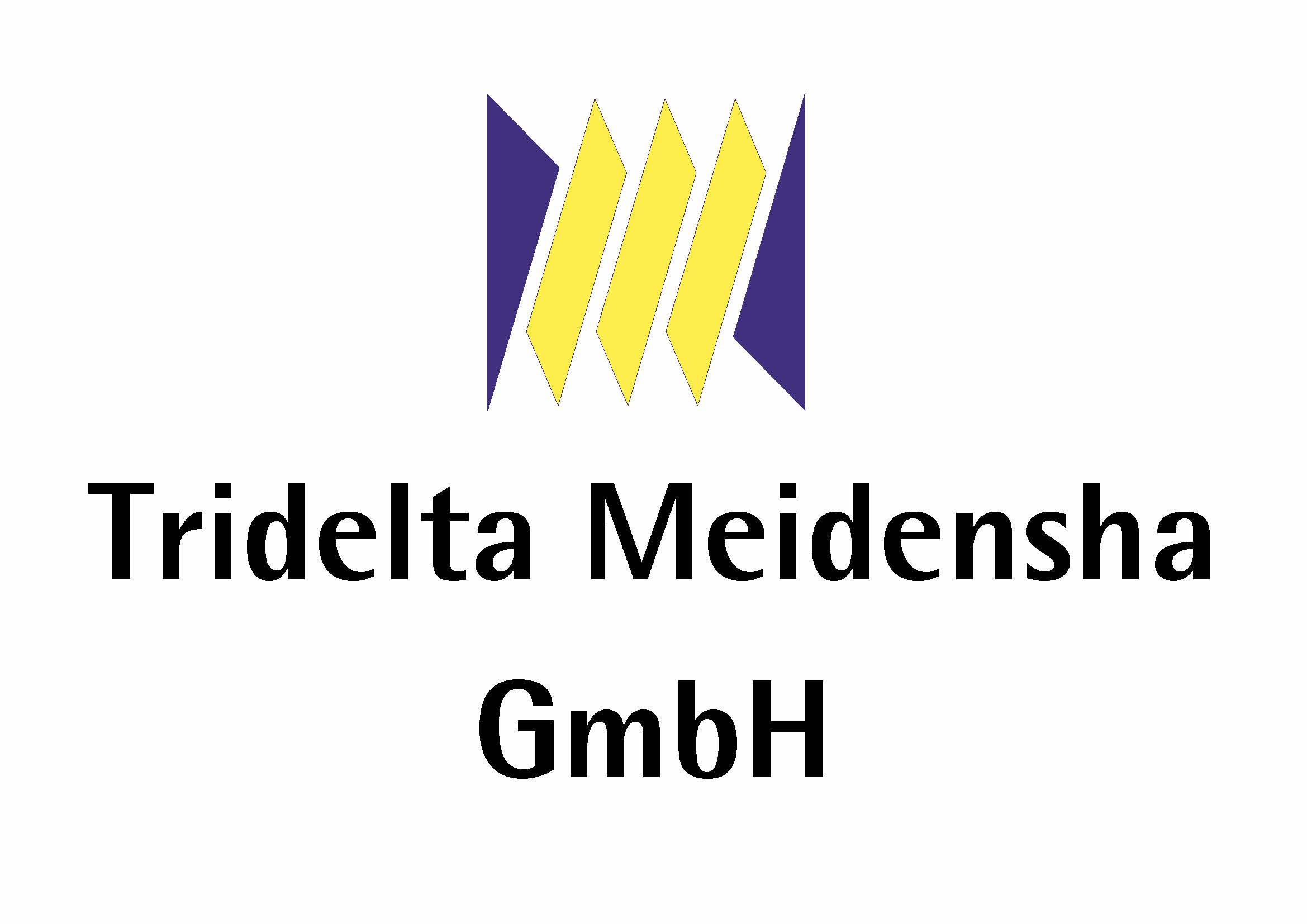 Tridelta Meidensha GmbH  